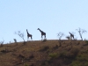 Namibia